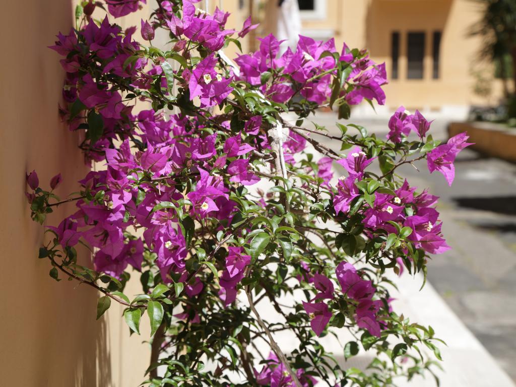 רומא Guest House Masterintrastevere מראה חיצוני תמונה